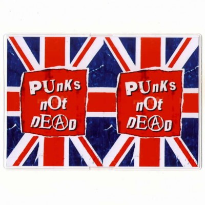 Обложка для паспорта Punks Not Dead 1
