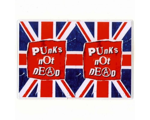 Обложка для паспорта Punks Not Dead 1
