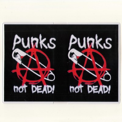 Обложка для паспорта Punks Not Dead 2