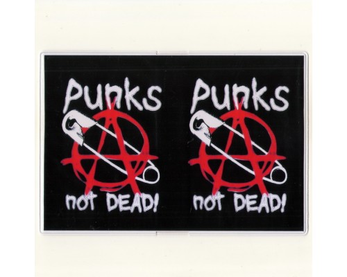 Обложка для паспорта Punks Not Dead 2