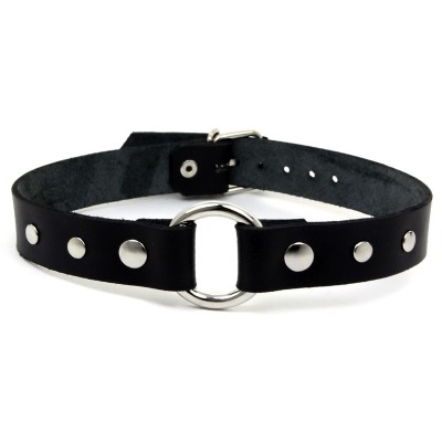 Ошейник кольцо 1