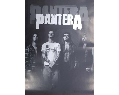 Плакат Pantera 1