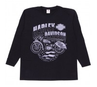 Футболка с длинным рукавом Harley Davidson dr1