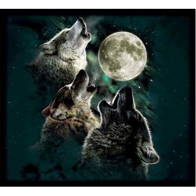 Пенал Волк 2